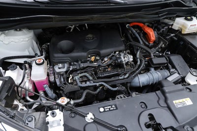 2024 Toyota Sienna XLE 7 Passenger
