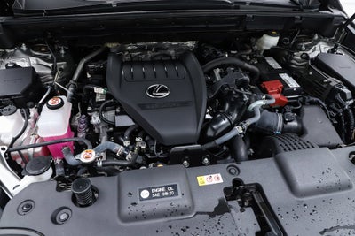 2023 Lexus NX 350 Premium