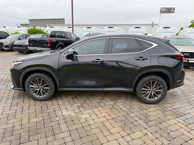 2023 Lexus NX 350h Premium
