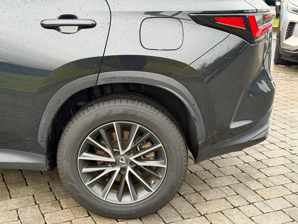 2023 Lexus NX 350h Premium