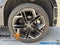 2025 Volkswagen Tiguan 2.0T SEL R-Line