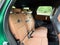 2025 MINI Cooper S Countryman Iconic