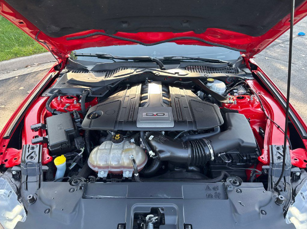 2019 Ford Mustang GT Premium