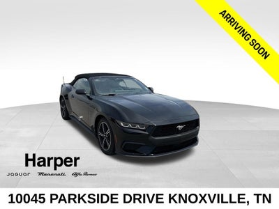 2024 Ford Mustang EcoBoost Premium