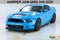 2013 Ford Mustang Shelby GT500