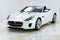 2019 Jaguar F-TYPE P300