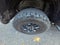 2024 Jeep Wrangler Willys 4xe
