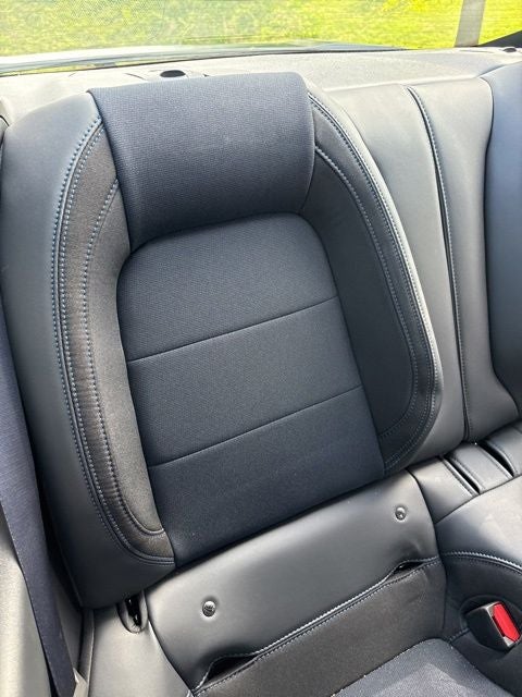 2024 Ford Mustang Dark Horse