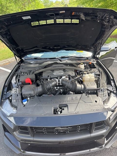 2024 Ford Mustang Dark Horse