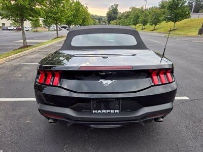 2025 Ford Mustang EcoBoost Premium