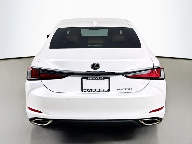 2019 Lexus ES 350 Luxury