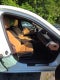 2019 Lexus ES 350 Luxury
