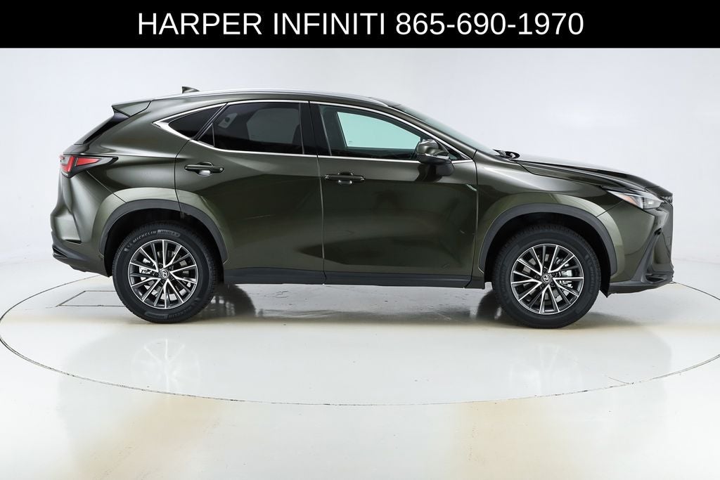 2024 Lexus NX 250 Premium