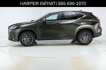 2024 Lexus NX 250 Premium
