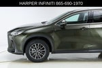 2024 Lexus NX 250 Premium