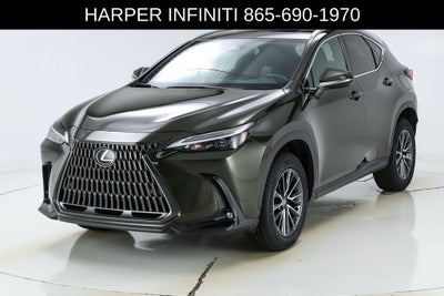 2024 Lexus NX 250 Premium