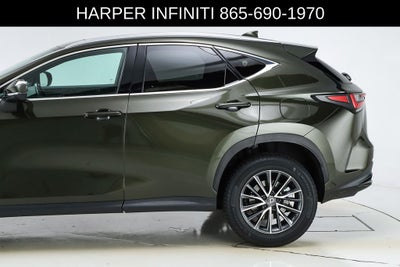 2024 Lexus NX 250 Premium