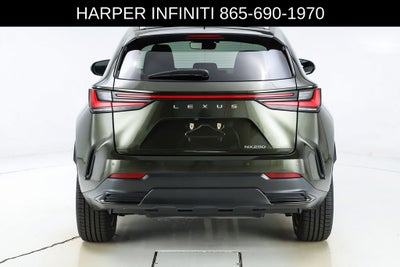2024 Lexus NX 250 Premium