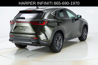 2024 Lexus NX 250 Premium