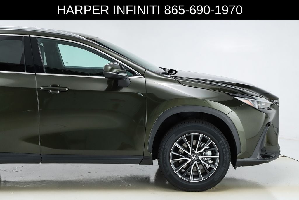 2024 Lexus NX 250 Premium