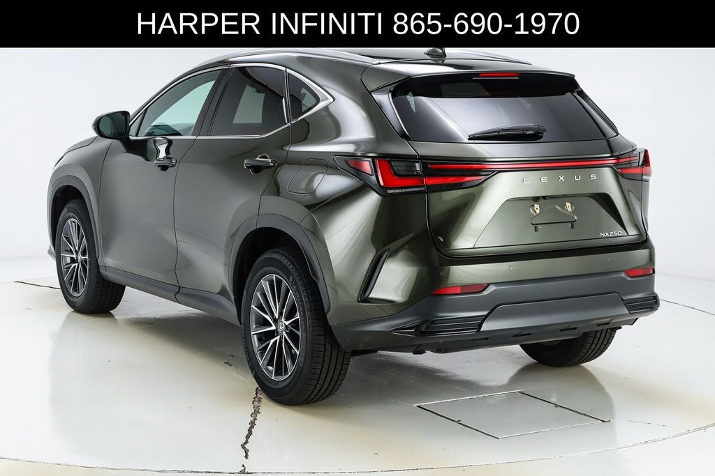 2024 Lexus NX 250 Premium