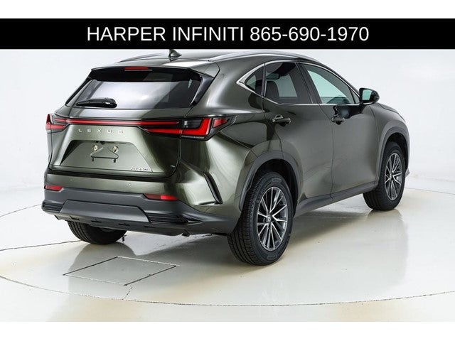 2024 Lexus NX 250 Premium