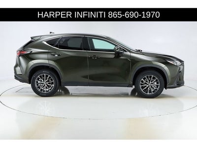 2024 Lexus NX 250 Premium