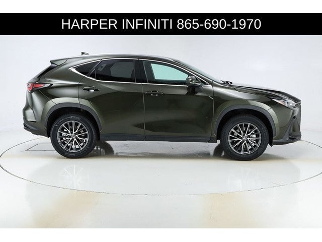 2024 Lexus NX 250 Premium