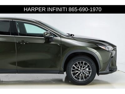 2024 Lexus NX 250 Premium