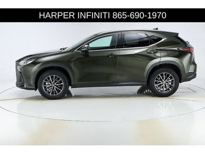 2024 Lexus NX 250 Premium