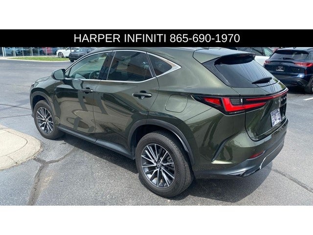 2024 Lexus NX 250 Premium