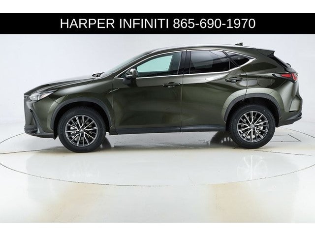 2024 Lexus NX 250 Premium