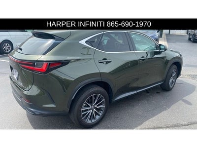 2024 Lexus NX 250 Premium