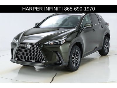 2024 Lexus NX 250 Premium