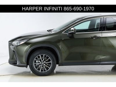 2024 Lexus NX 250 Premium