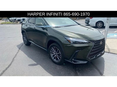 2024 Lexus NX 250 Premium