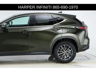 2024 Lexus NX 250 Premium