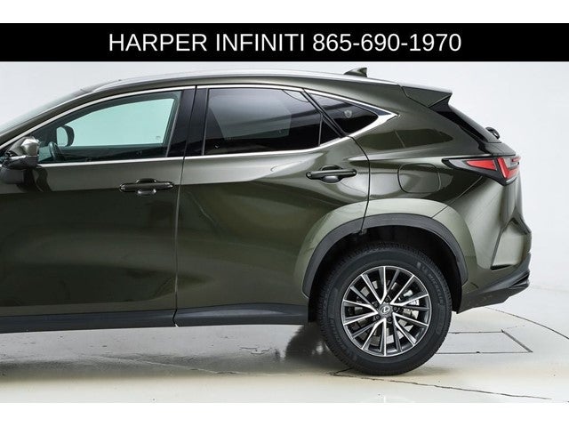 2024 Lexus NX 250 Premium