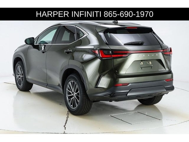 2024 Lexus NX 250 Premium