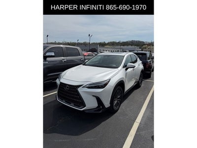 2023 Lexus NX 350 Premium