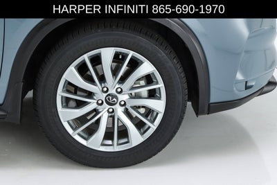 2023 INFINITI QX50 LUXE