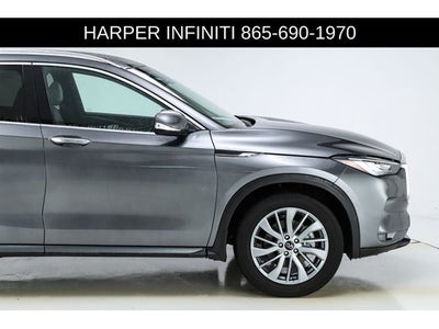 2024 INFINITI QX50 LUXE