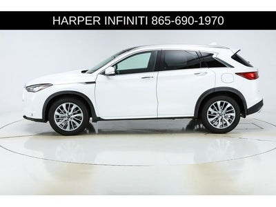 2025 INFINITI QX50 LUXE