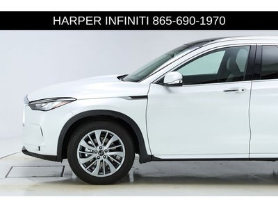 2025 INFINITI QX50 LUXE