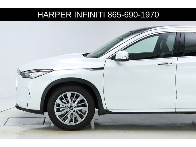 2025 INFINITI QX50 LUXE