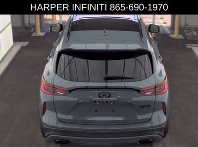 2023 INFINITI QX50 SPORT