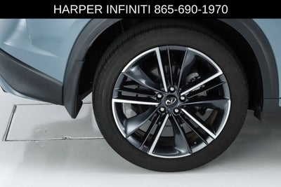 2023 INFINITI QX50 SPORT
