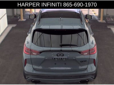 2023 INFINITI QX50 SPORT