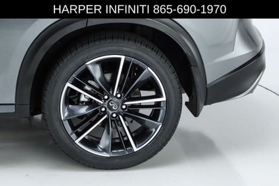 2023 INFINITI QX50 SPORT