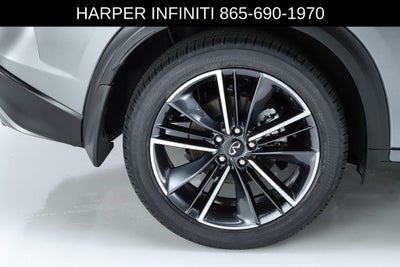 2023 INFINITI QX50 SPORT
